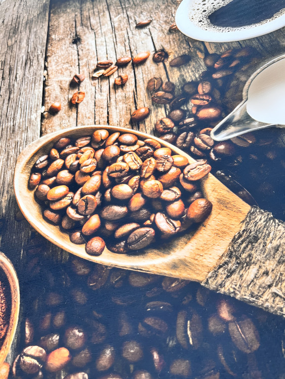 پادری آشپزخانه سبک و قابل حمل