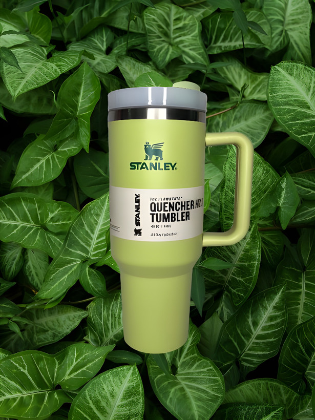 تامبلر تراول ماگ استنلی دستهدار، رنگ سبز، ظرفیت ۴۰ اونس (۱۱۸۰ سیسی)