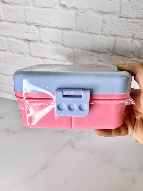 ظرف غذا دوطبقه با فضای کافی برای غذای اصلی و میانوعده