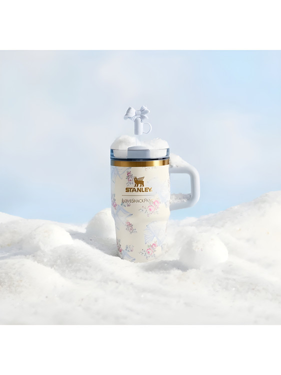 تامبلر مینی استنلی Stanley Mini با طراحی جمعوجور و مقاوم